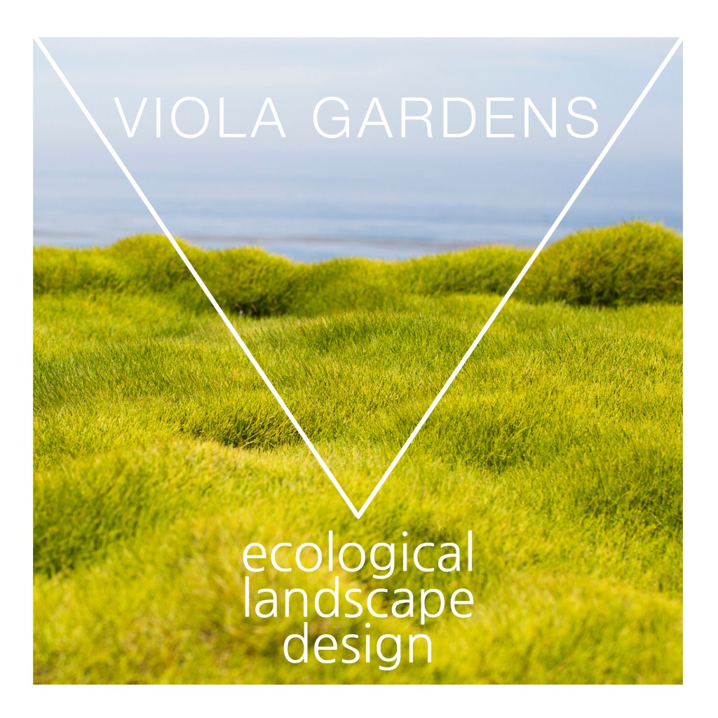 Viola Gardens Logo by Jennifer Toole