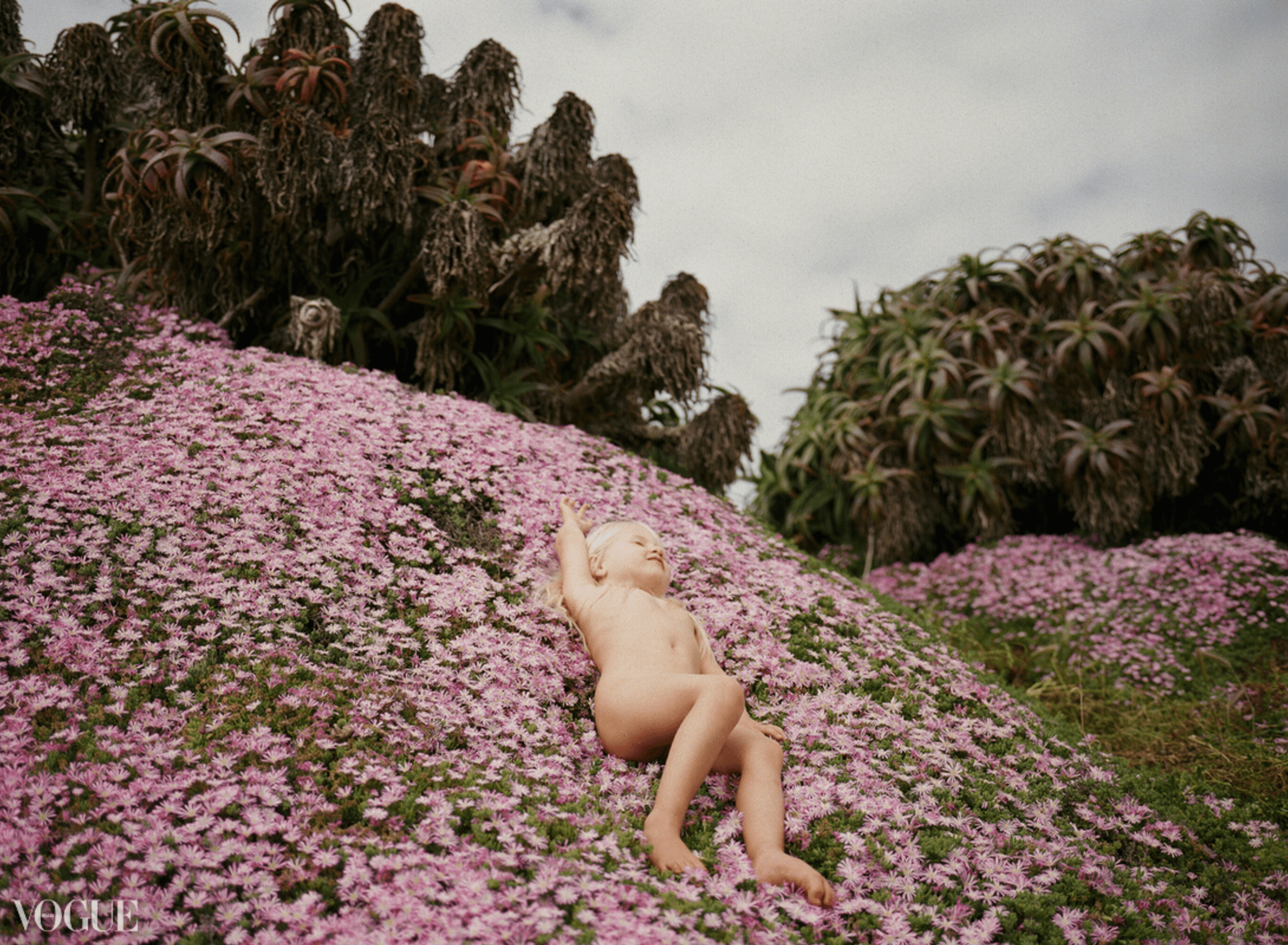 screen-shot-2016-09-13-at-9-41-39-am