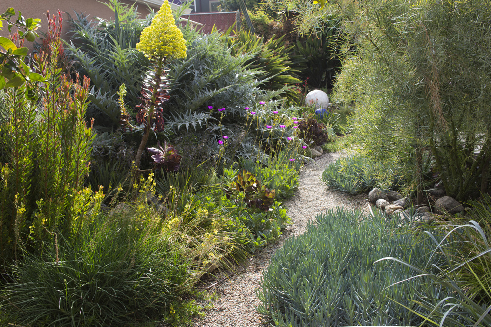 ViolaGardens.Apr-117_1000