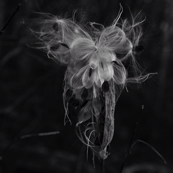 Screen Shot 2019-01-02 at 9.49.39 PM