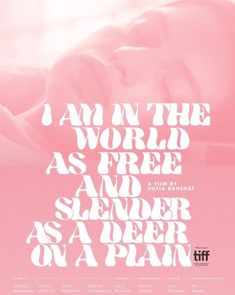 Screen Shot 2019-09-08 at 8.32.38 PM