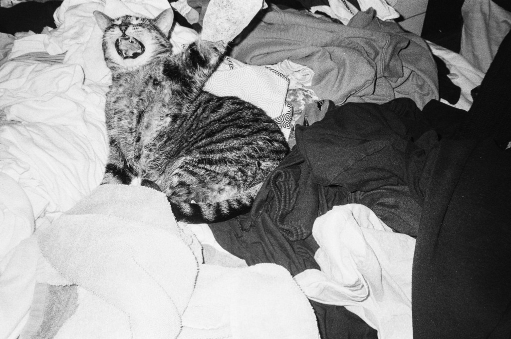 5/10 Covid-19 Travel Diary: Toronto, Feb. 28